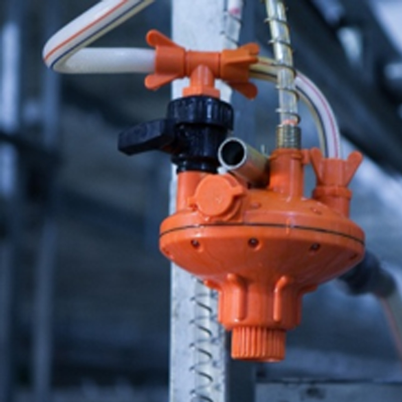 High-Efficiency Heavy-Duty Commercial Grade Expandable Design Interchangeable Modules Broiler Falt Raising System