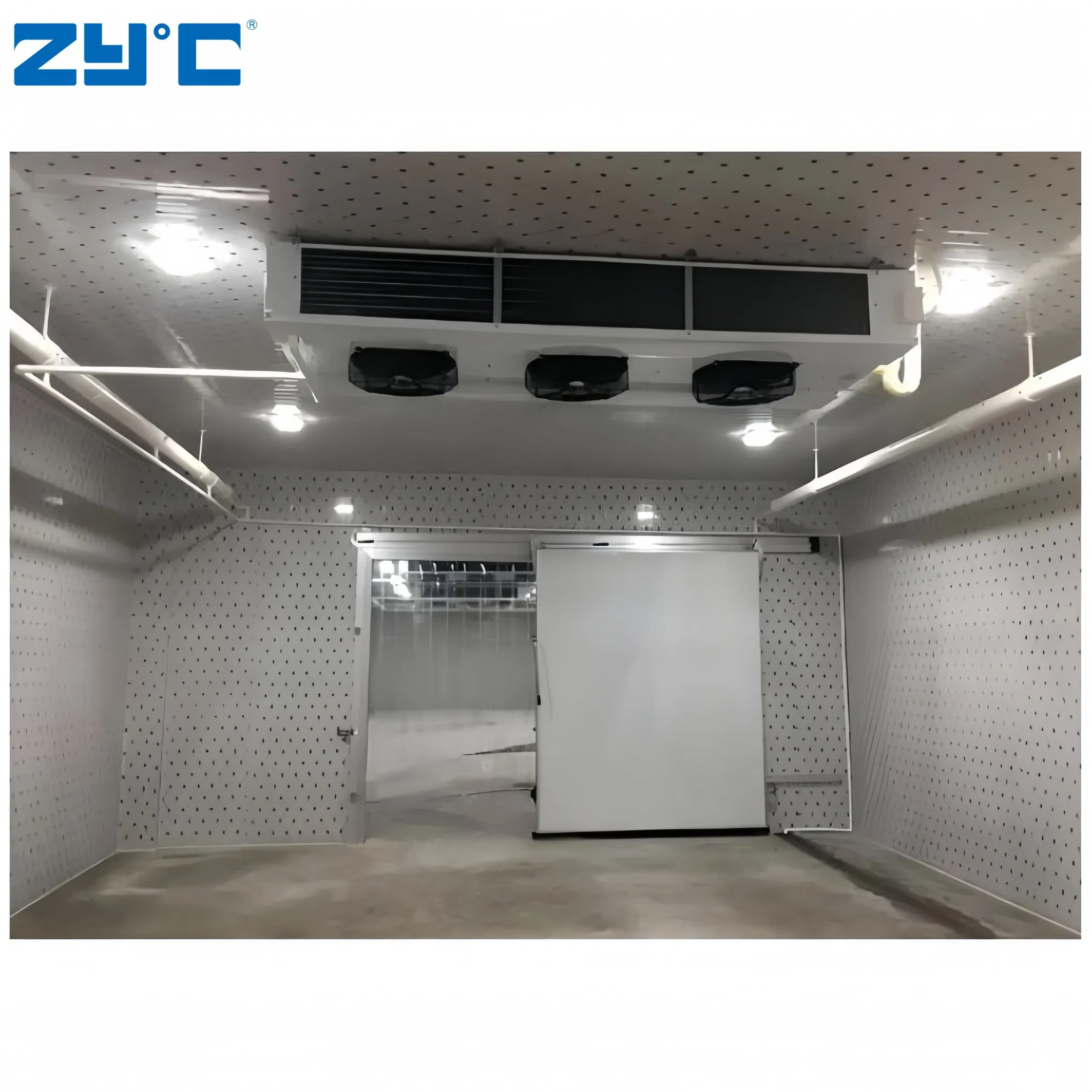 Factory Direct Supply of Fruit and Vegetable Fresh-Keeping Container Cold Storage Room Central Refrigeration System