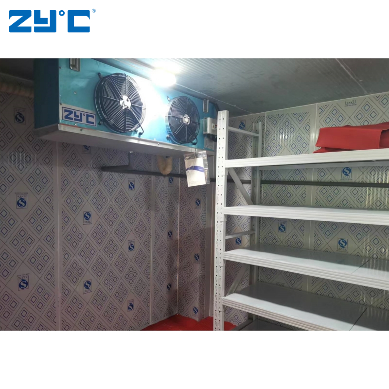 Walk in Cold Room Storage Refrigeration 10 to 100 Ton Blast Freezer Price for Meat Fish Chicken Onion Vegetable Fruit