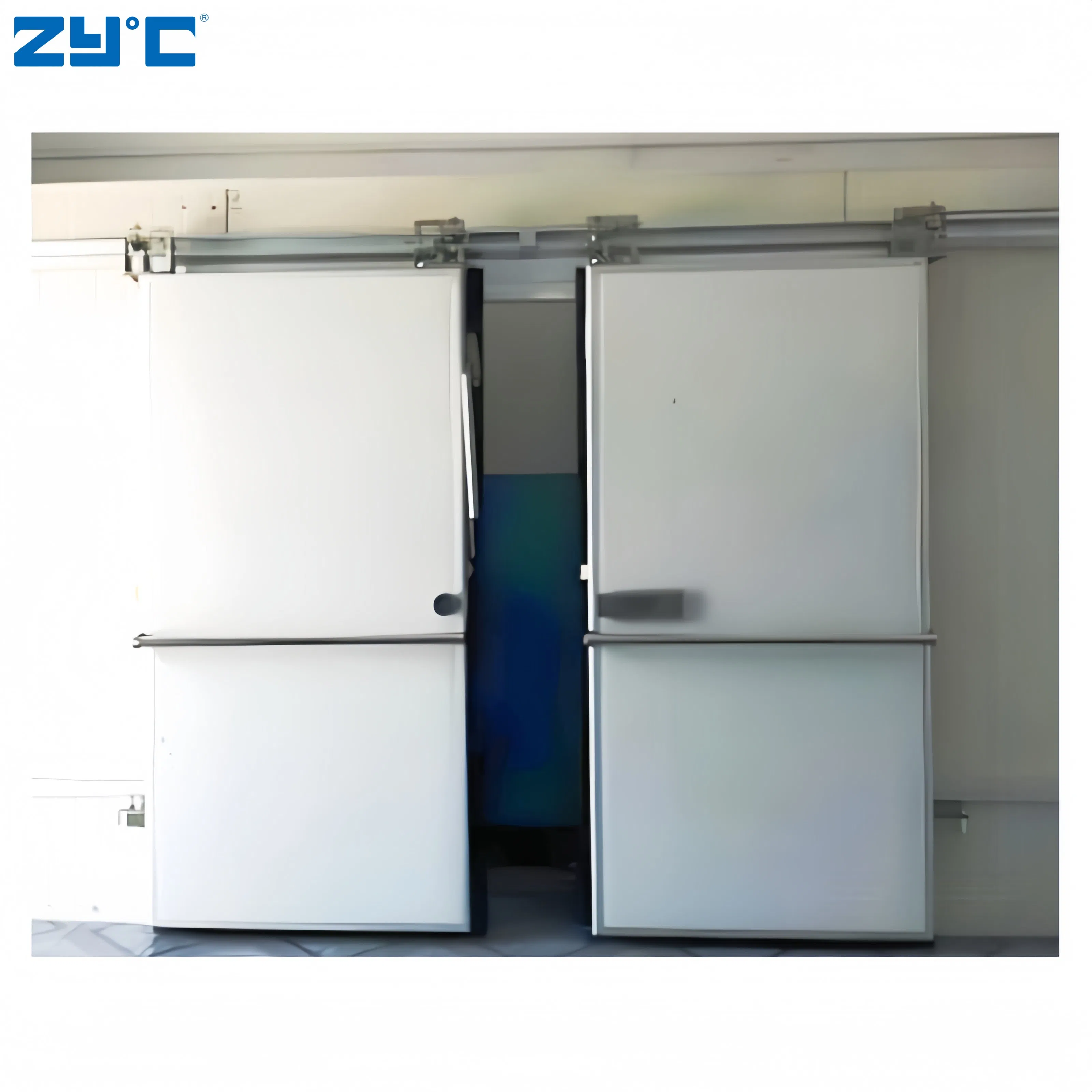 New Design Movable Cold Room Freezer with Hinged Door Container Walk in Freezer