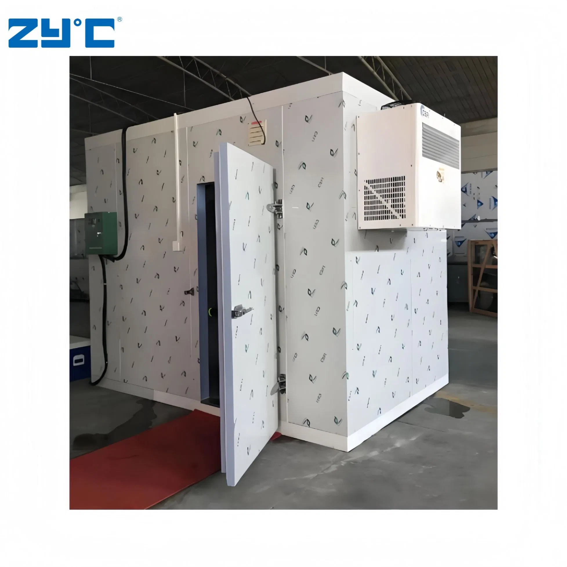 Frozen Meat Seafood Beef Chicken Vegetable Fruit Walk in Container Cool Freezing Freezer Cold Room