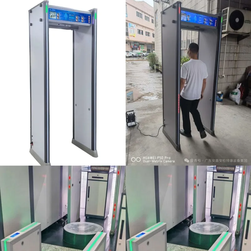 Portable Detector View 4