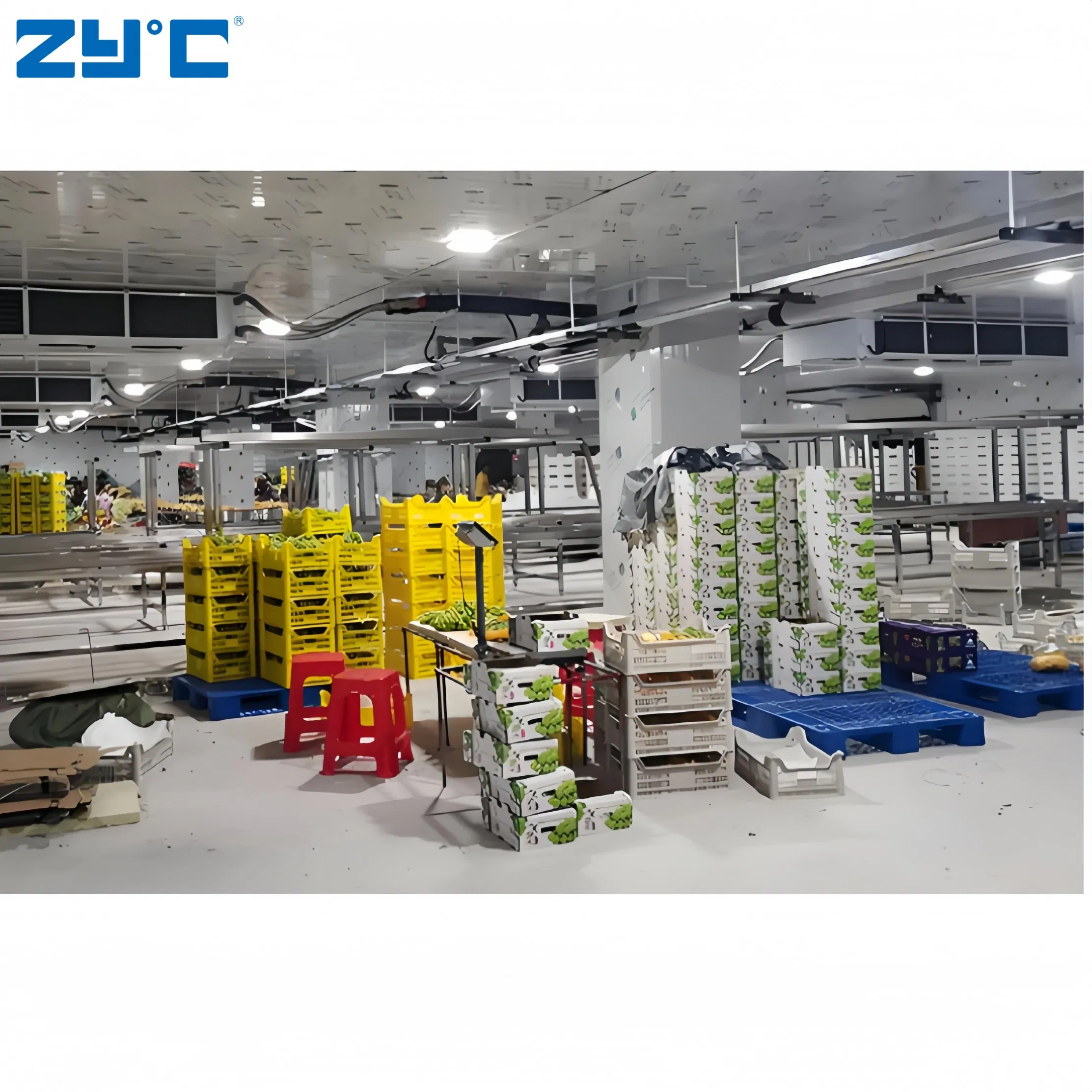 High Quality Refrigerated Room Cooling Room Freezer Refrigerated Room Fruit and Vegetable Meat Container Freezer