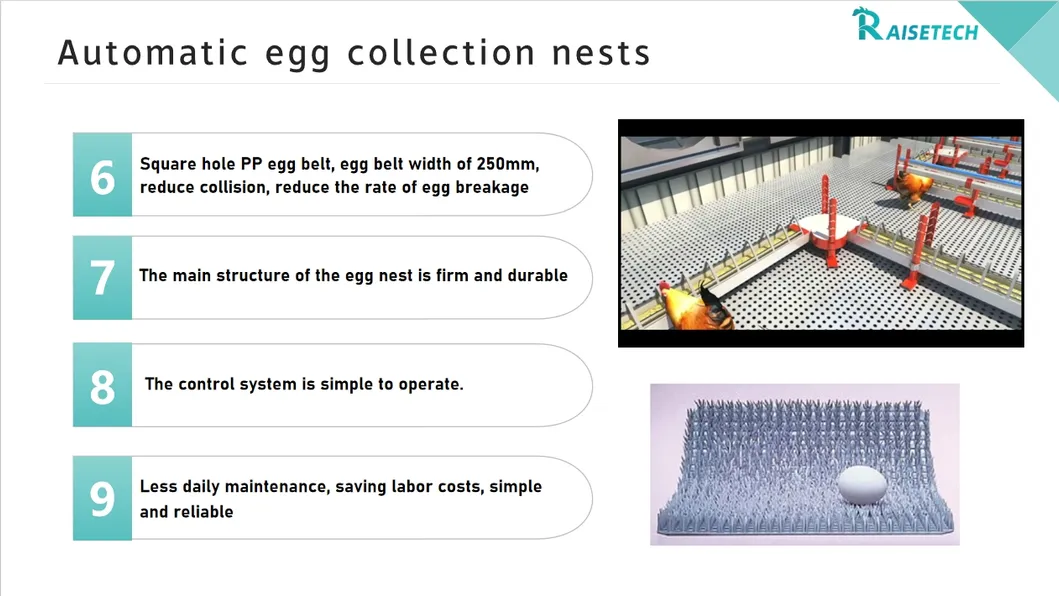 Egg Collection 2