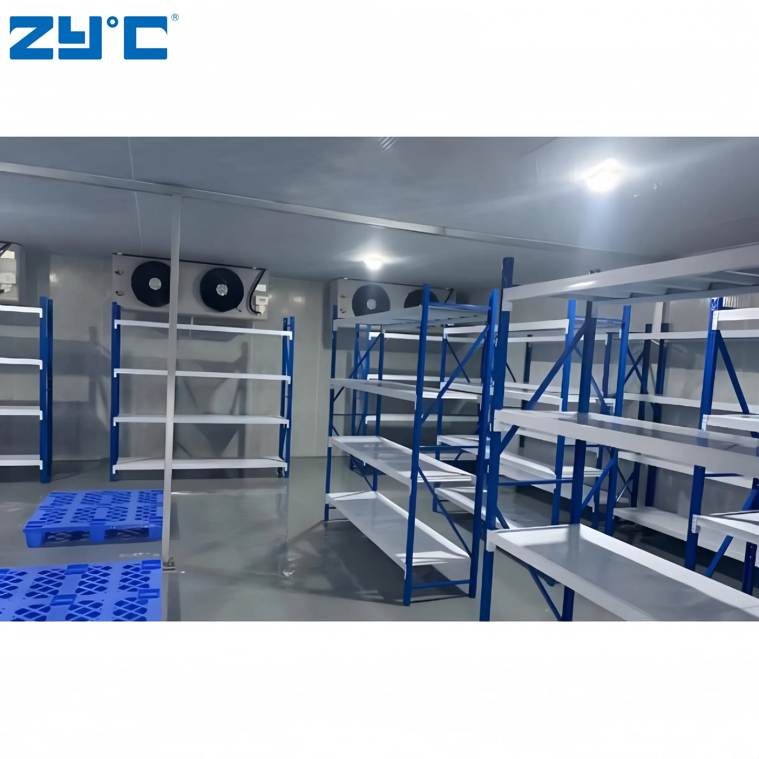 Portable Walk-in Freezer Cold Room Storage Container for Medicine