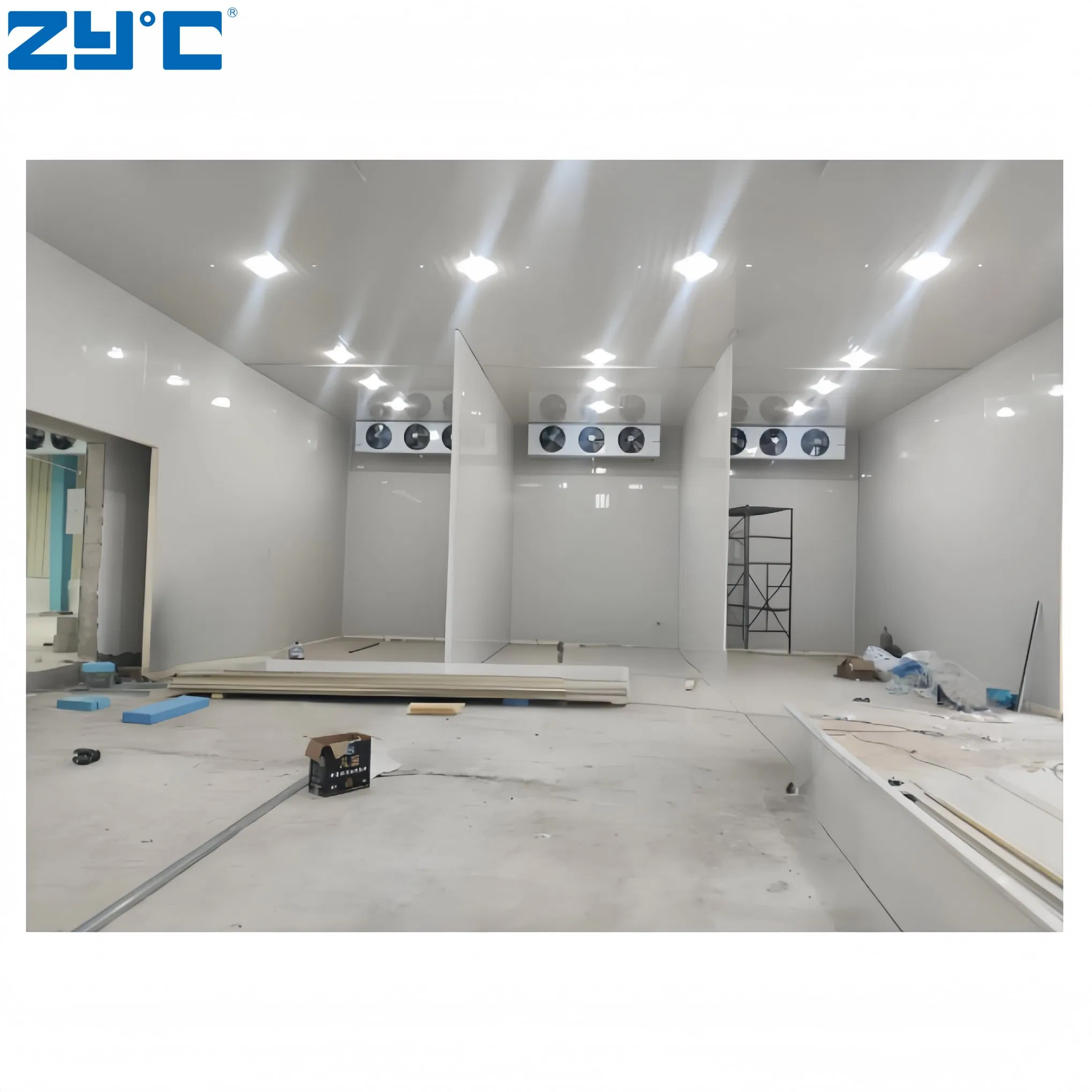 New Design Movable Cold Room Freezer with Hinged Door Container Walk in Freezer