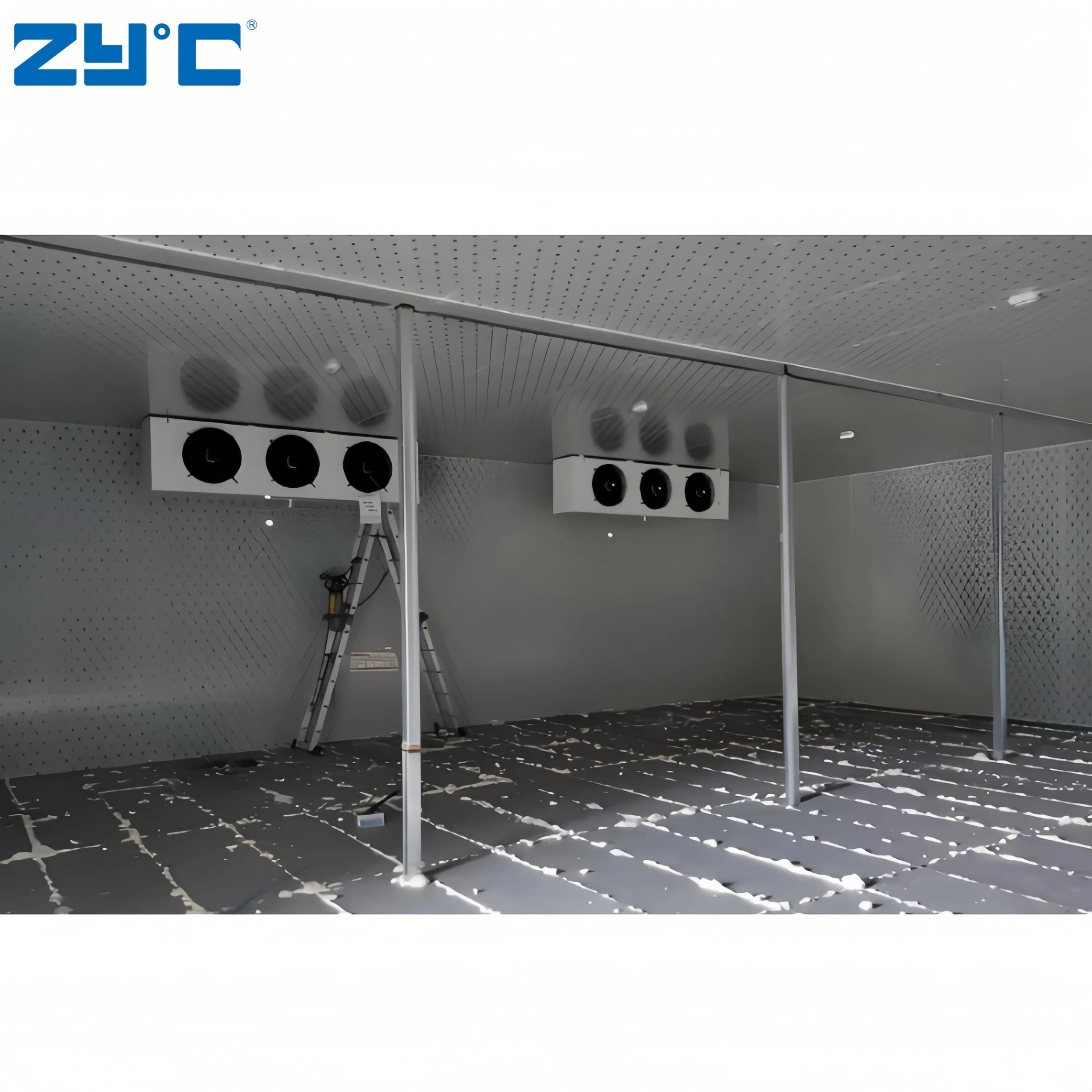 Walk in Freezer Powerful 380V Cold Storage Container for Fruits