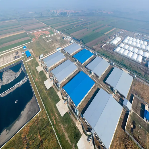 Poultry Farm Solution