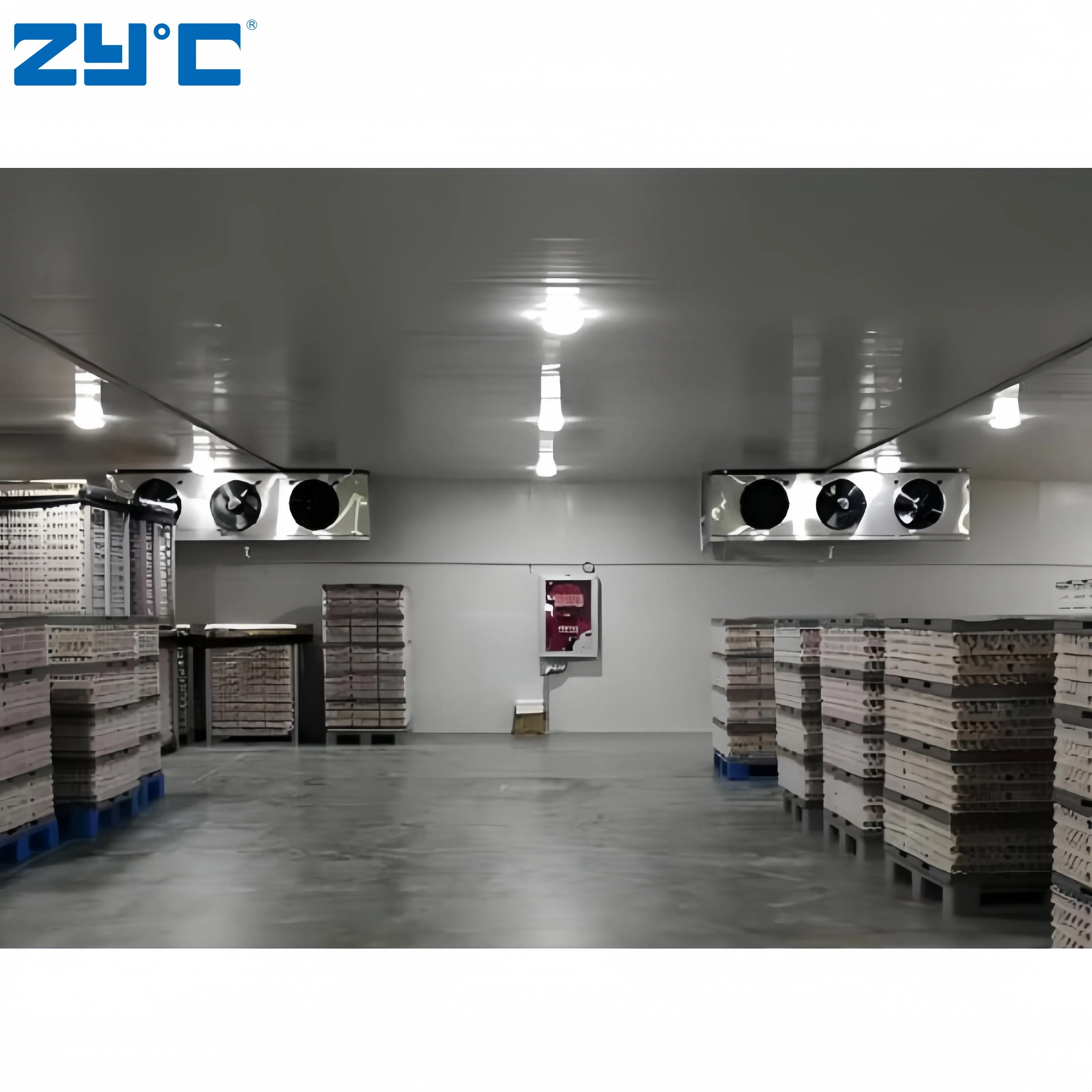 Frozen Lamb Meat Beef Omasum Importer Fujian Cool Room Cold Storage Refrigerating Chamber