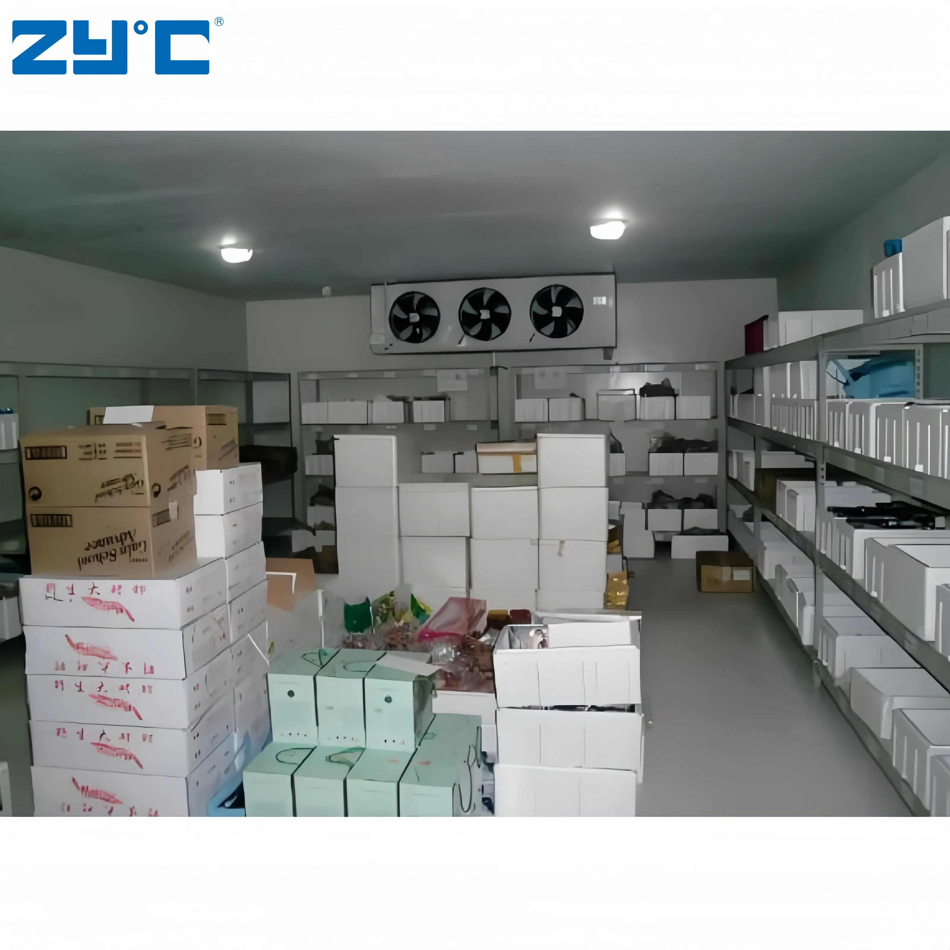 Frozen Lamb Meat Beef Omasum Importer Fujian Cool Room Cold Storage Refrigerating Chamber