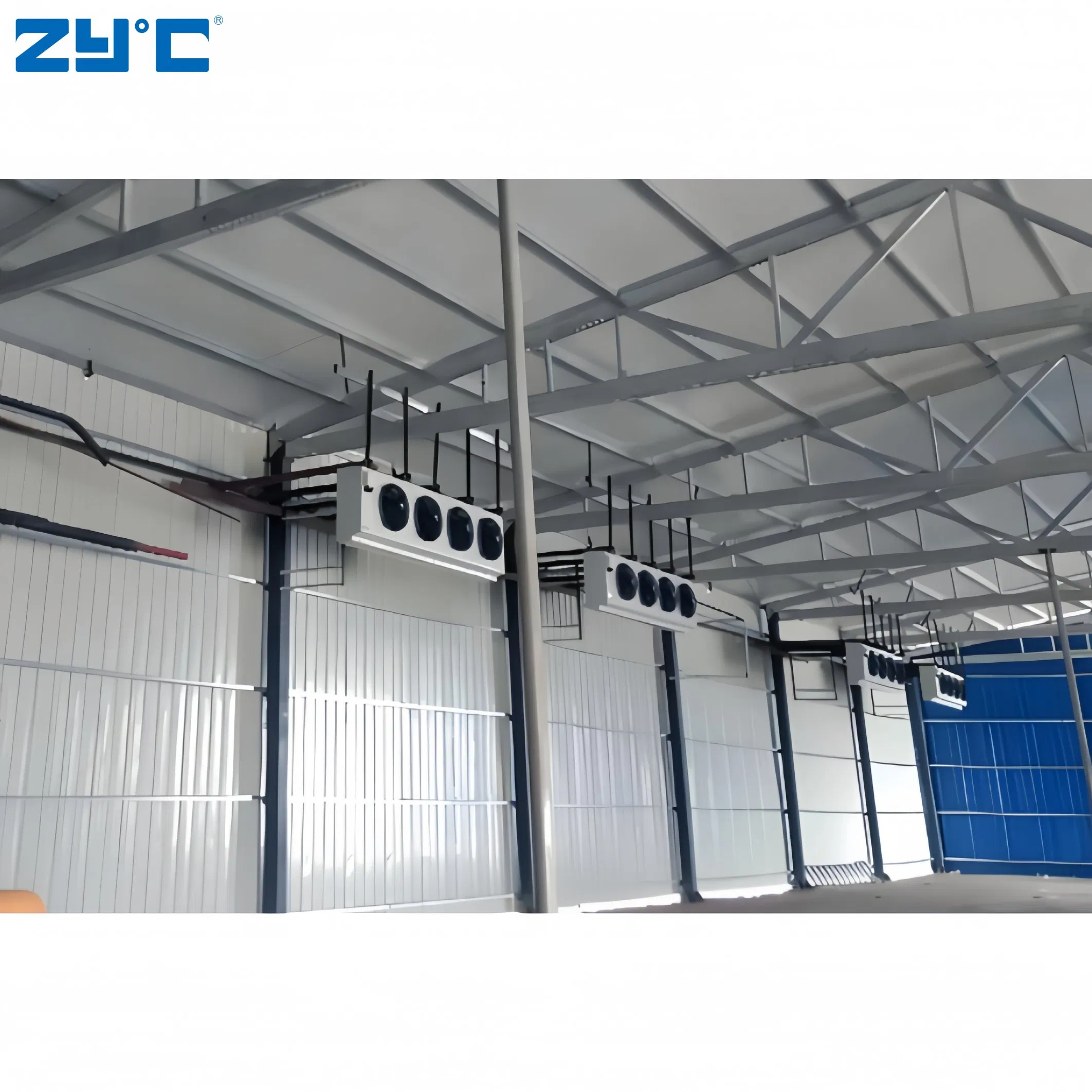 Low Price Cold Store Room Container One Stop Solution Cold Room for Frozen Meat