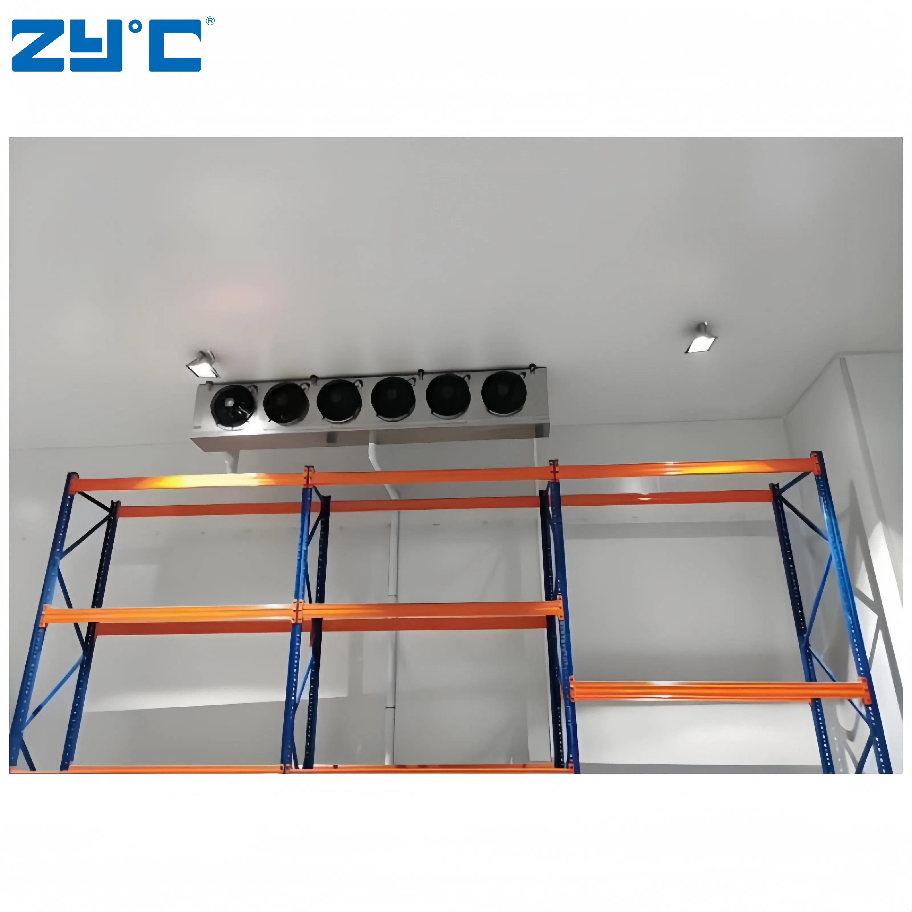 Wholesale Freezing Room 20FT Mobile Container Storage/Cold Room Freezer for Fish Vegetable Fruits Ice Cream Walk in Freezer