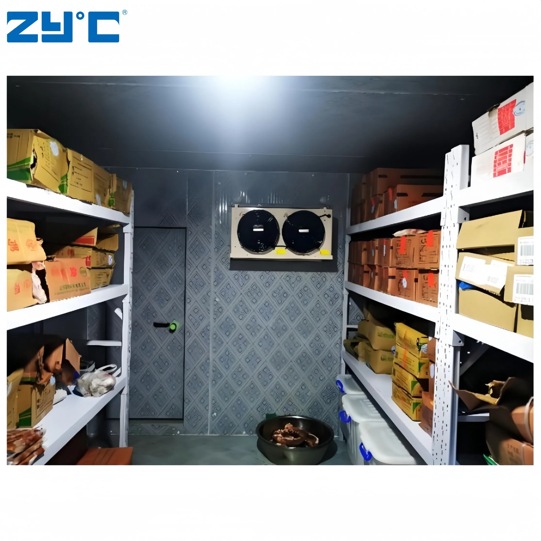 Wholesale Freezing Room 20FT Mobile Container Storage/Cold Room Freezer for Fish Vegetable Fruits Ice Cream Walk in Freezer