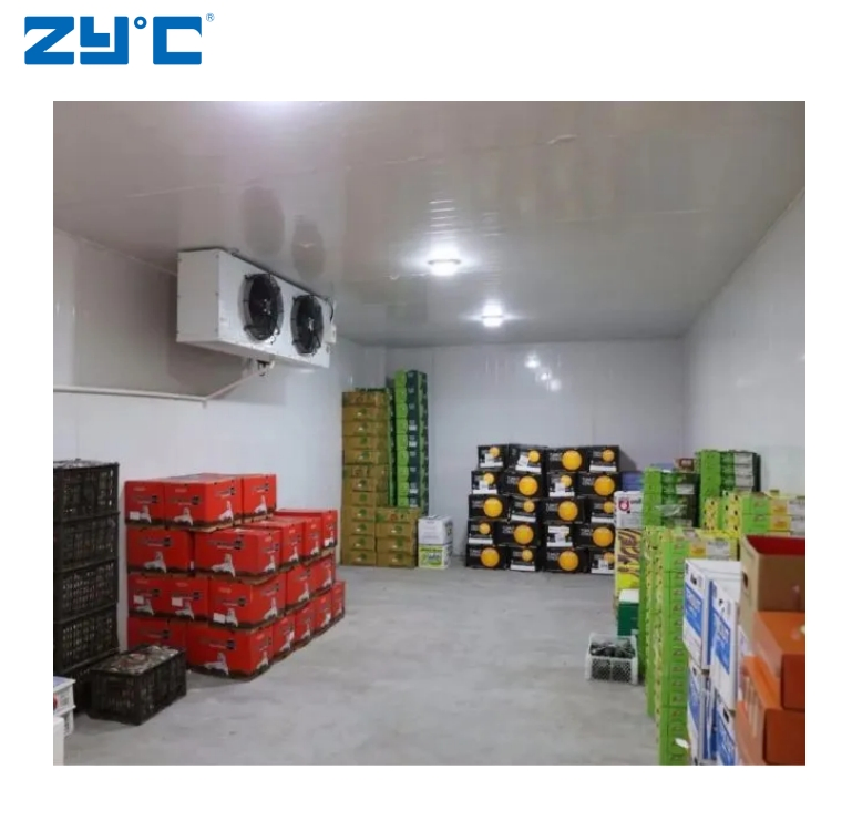Customizable Modular Container Cold Storage Room Building Material Cold Room Freezer