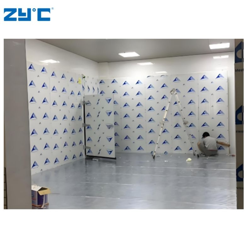 Customizable Modular Container Cold Storage Room Building Material Cold Room Freezer