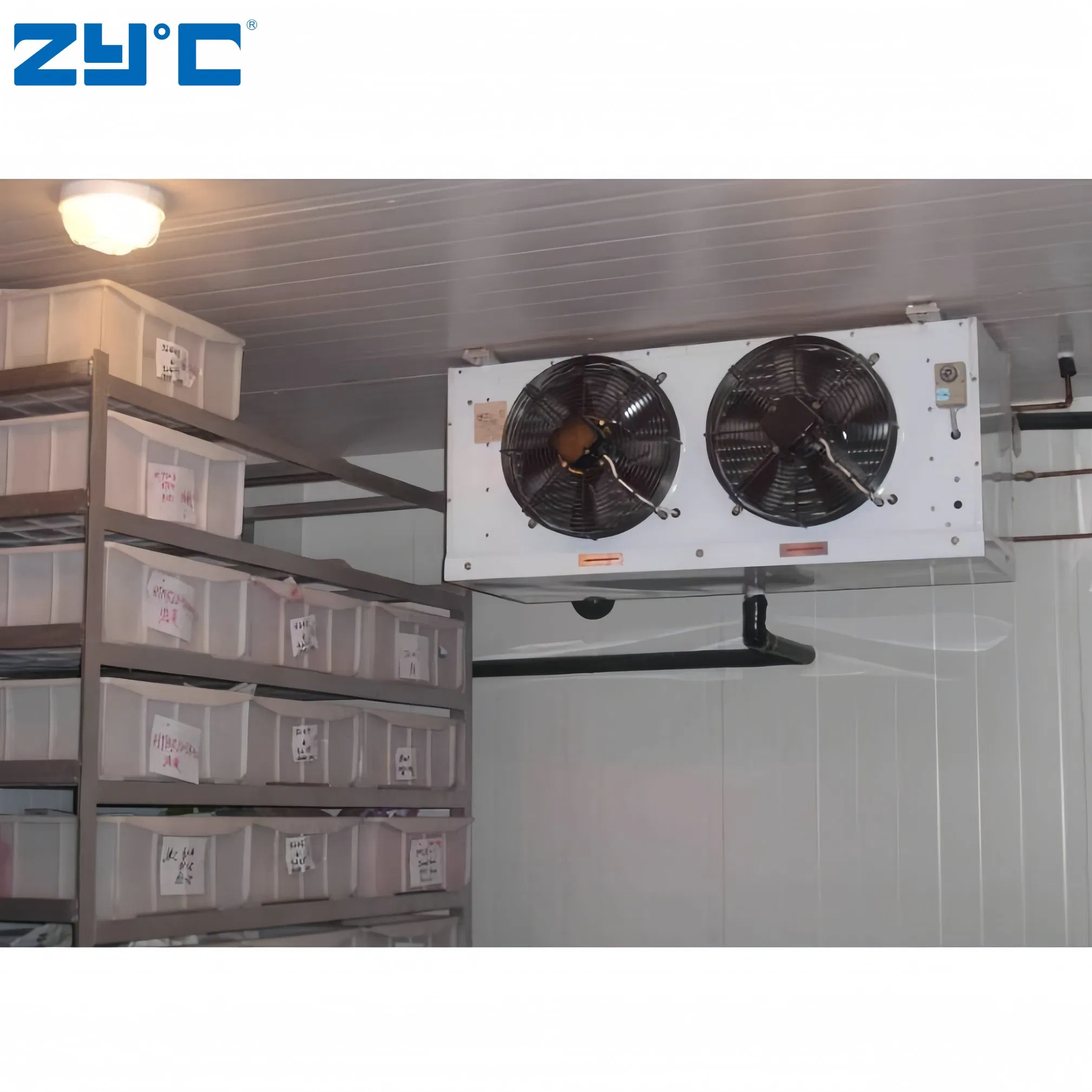 Frozen Meat Seafood Beef Chicken Vegetable Fruit Walk in Container Cool Freezing Freezer Cold Room