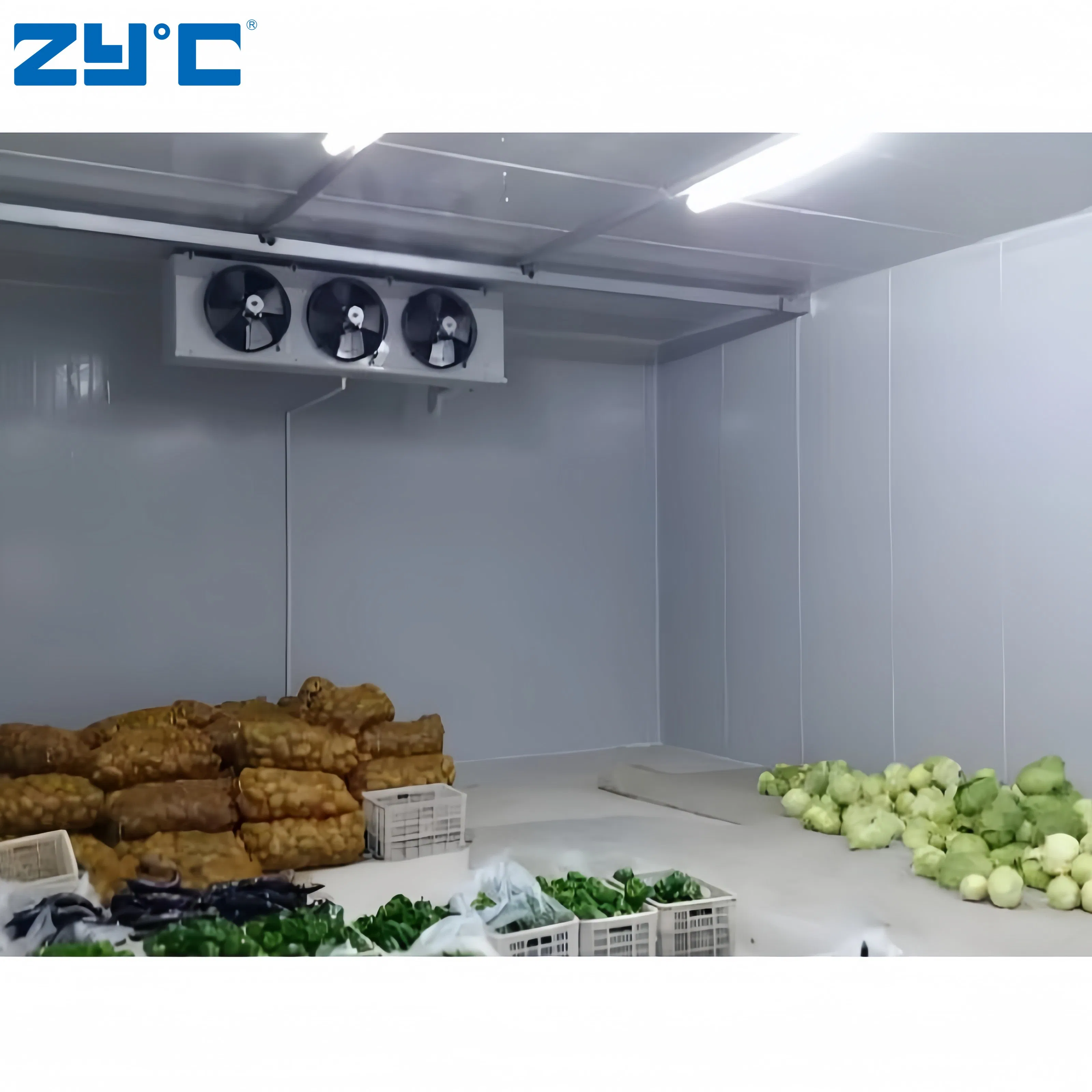 Cool Blast Freezer Equipment Solar Powered Cold Rooms Walk in Freezer Container for Vegetables and Fruits