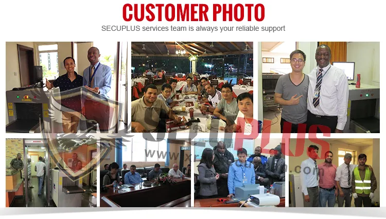 Metal Detector Display 5