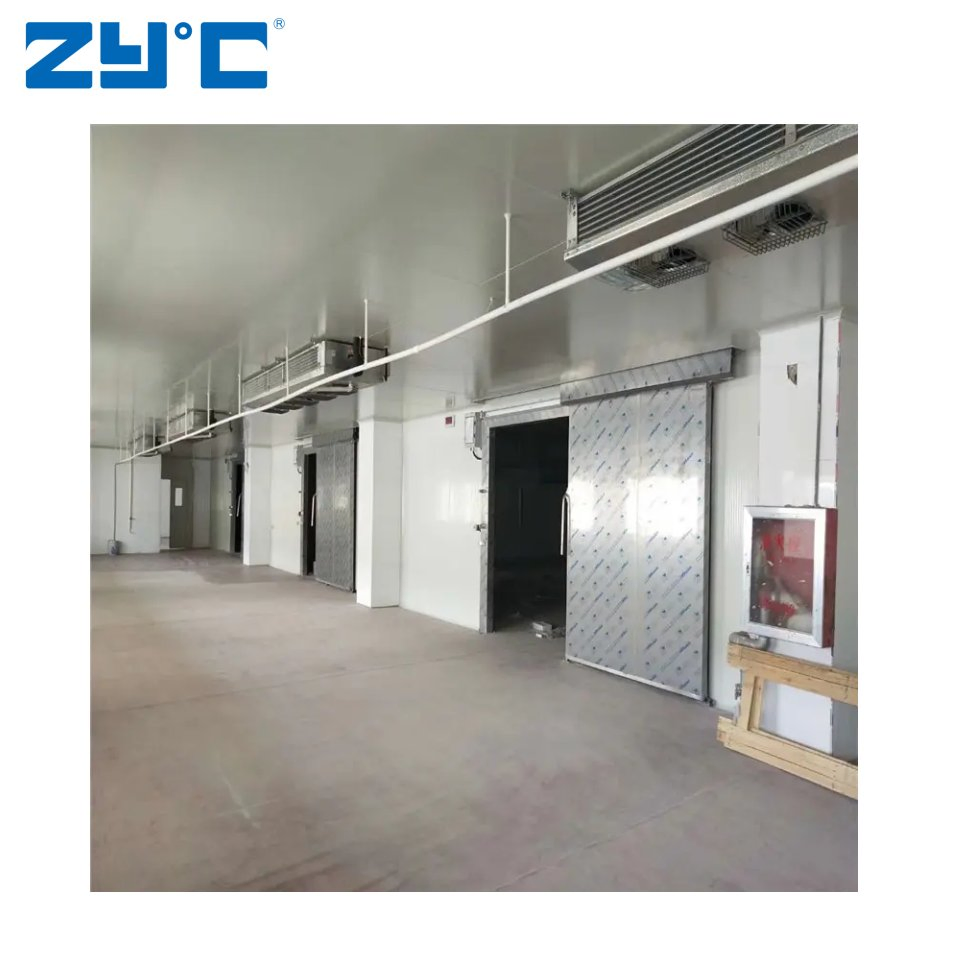 Customizable Modular Container Cold Storage Room Building Material Cold Room Freezer