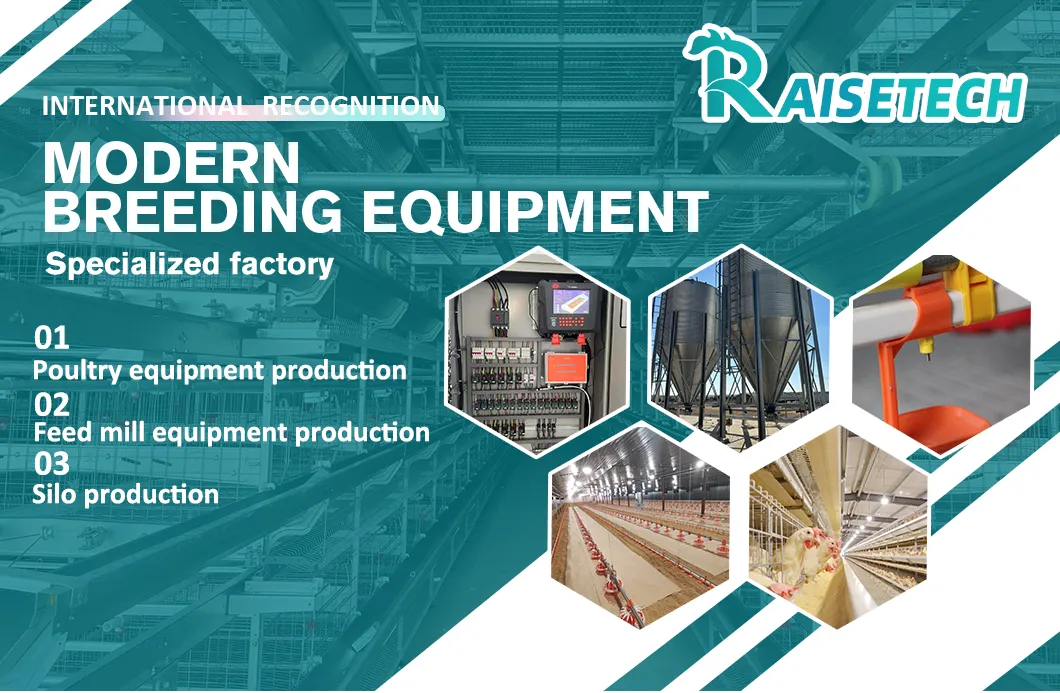 Broiler Flat Raising System