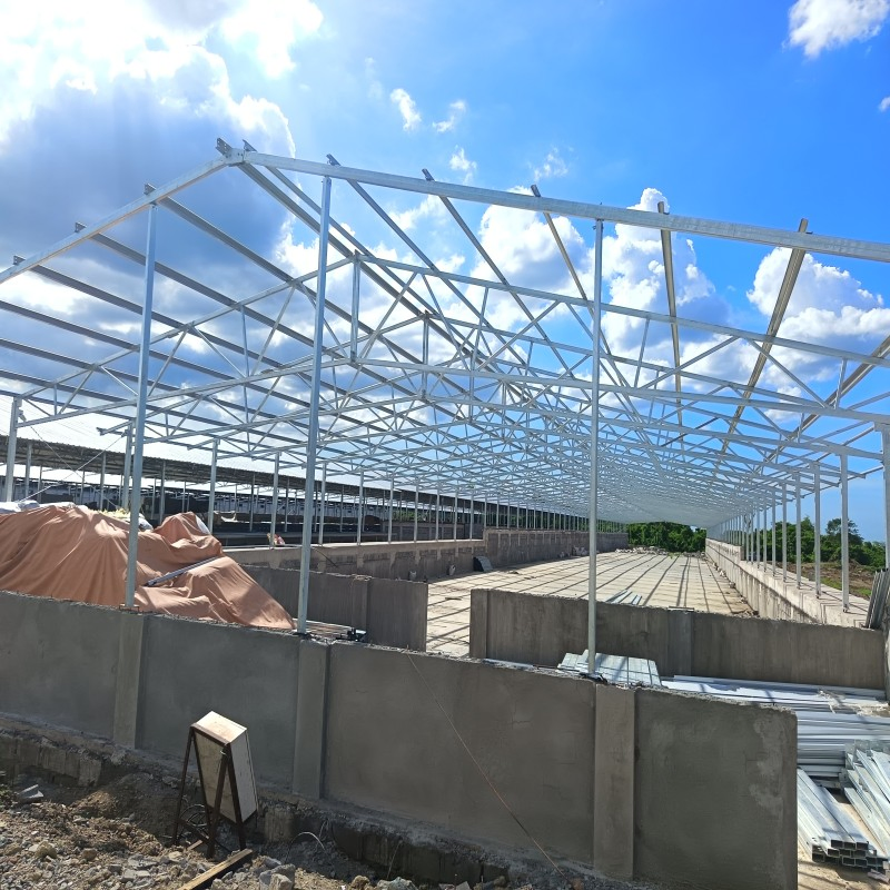 Steel Poultry Building for Saudi Arabia Farms Featuring Quick Assembly and Effective Thermal Insulation