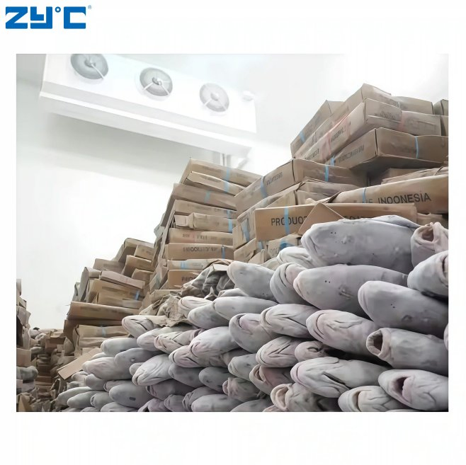 Industrial Blast Freezer Container Walk in Freezer Refrigeration Unit Low Temperature Logistics Cold Storage