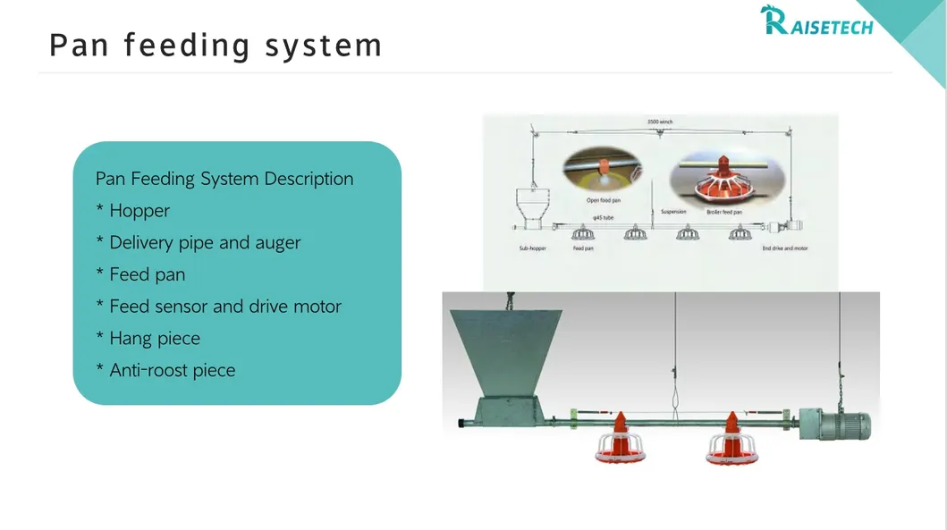 Pan feeding system detail