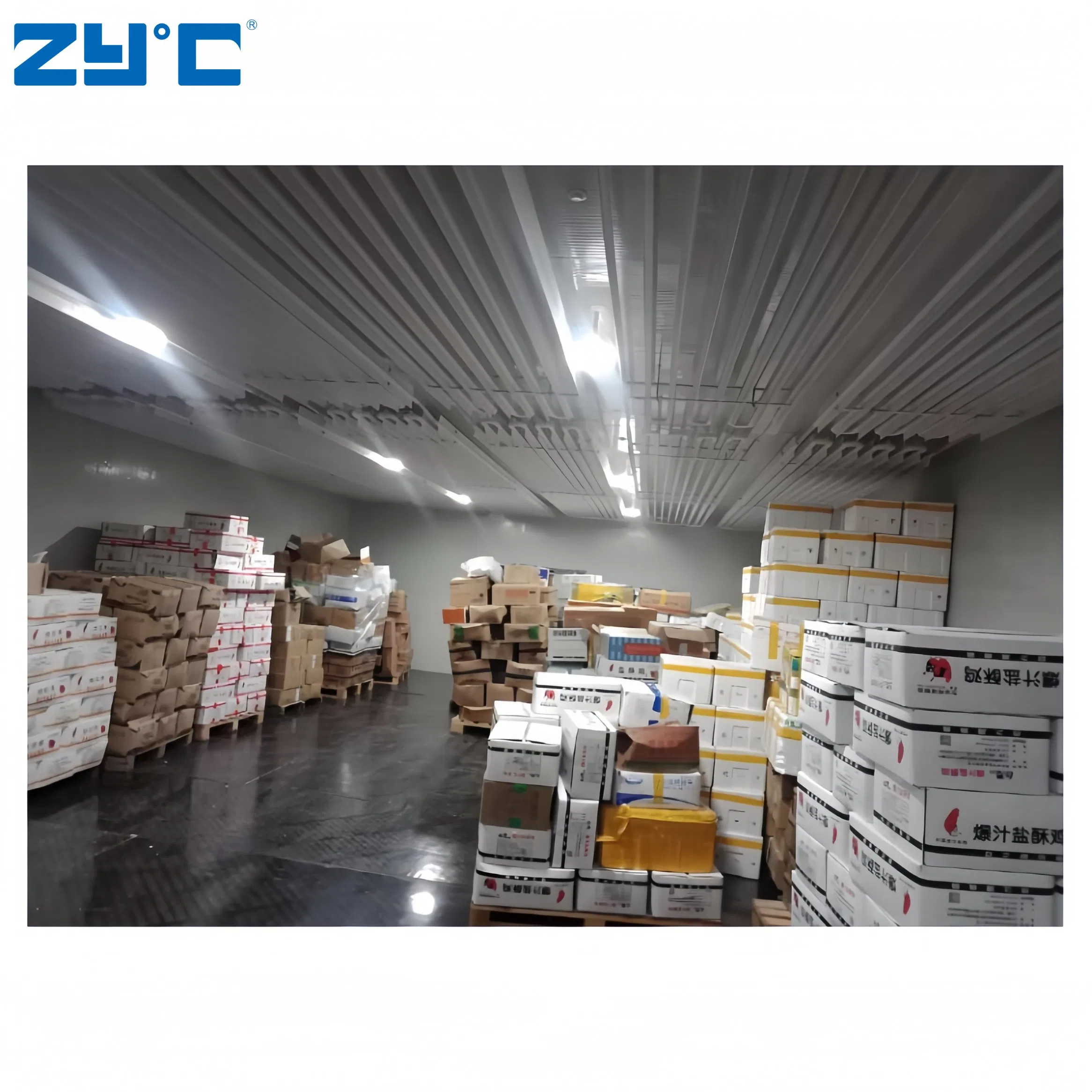 Factory Direct Supply of Fruit and Vegetable Fresh-Keeping Container Cold Storage Room Central Refrigeration System