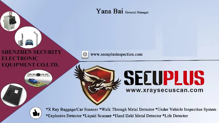 Metal Detector Display 2