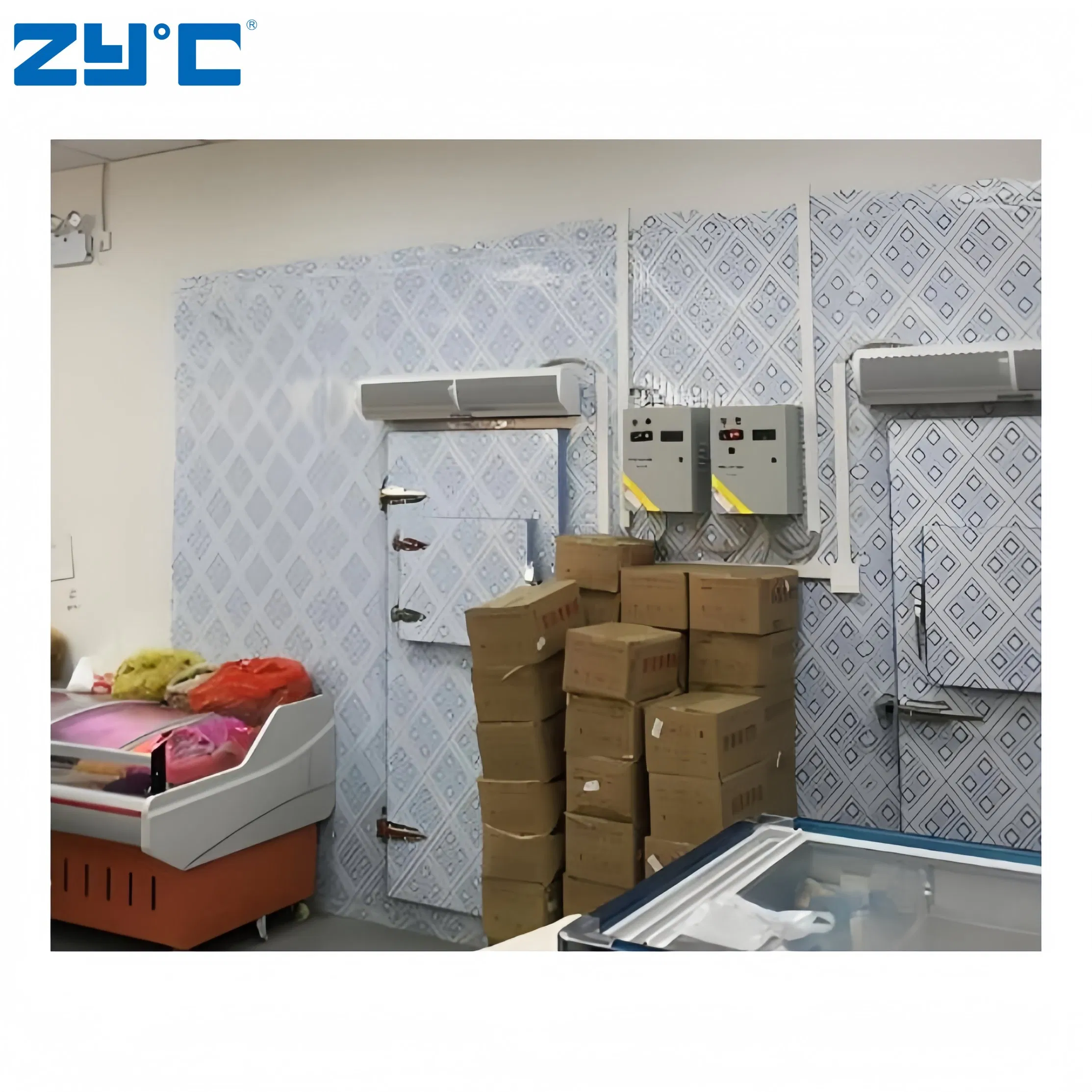 Wholesale Freezing Room 20FT Mobile Container Storage/Cold Room Freezer for Fish Vegetable Fruits Ice Cream Walk in Freezer