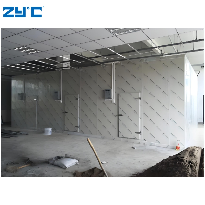 Wholesale Walk in Freezer 10FT 20FT Cold Storage Room Container for Meat Vegetable Medicine