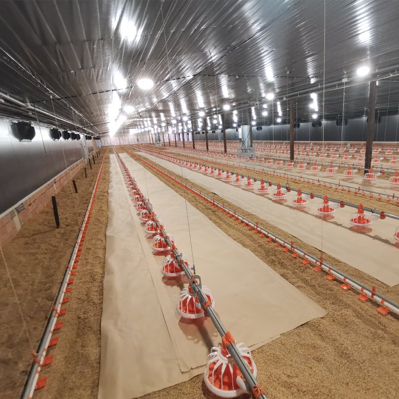 Anti-Slip Flooring Expandable Design Climate Control Broiler Falt Raising System