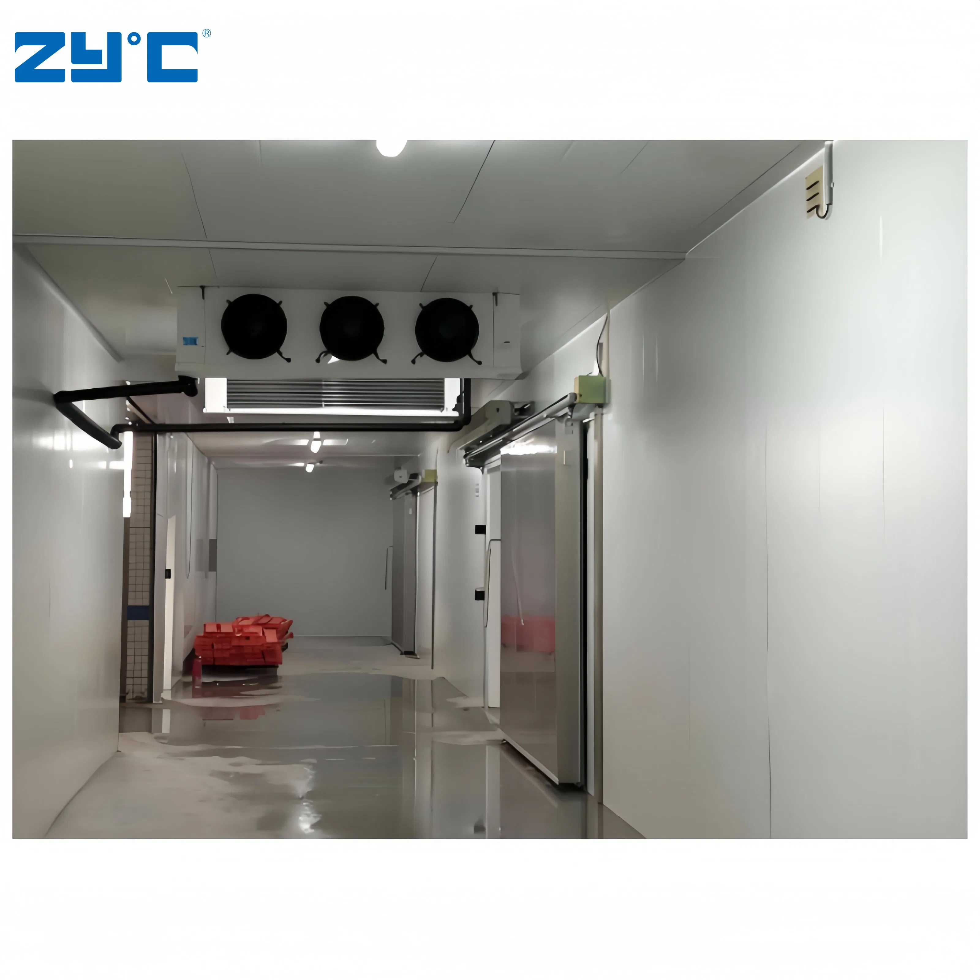 Industrial Blast Freezer Container Walk in Freezer Refrigeration Unit Low Temperature Logistics Cold Storage