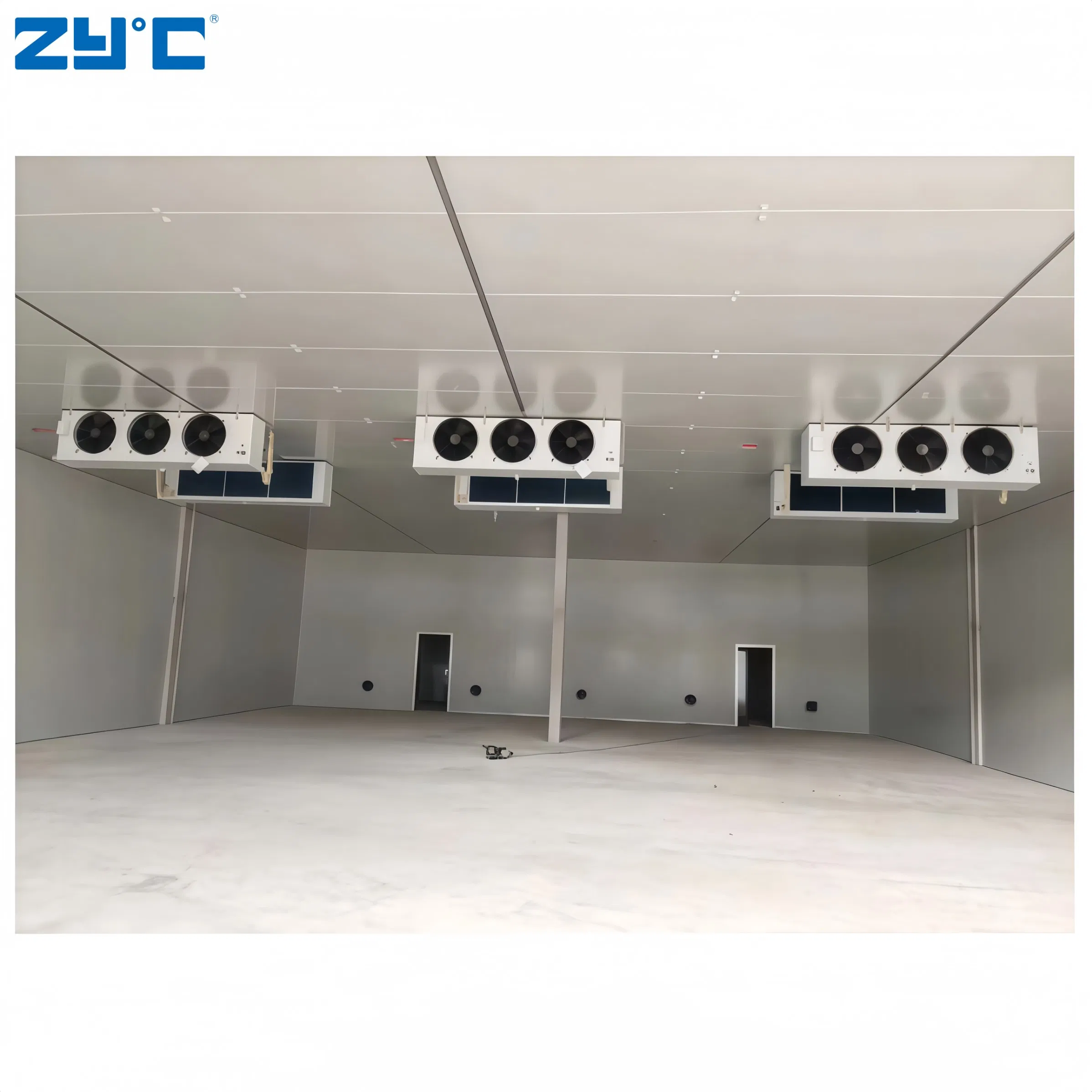 Walk in Freezer Powerful 380V Cold Storage Container for Fruits