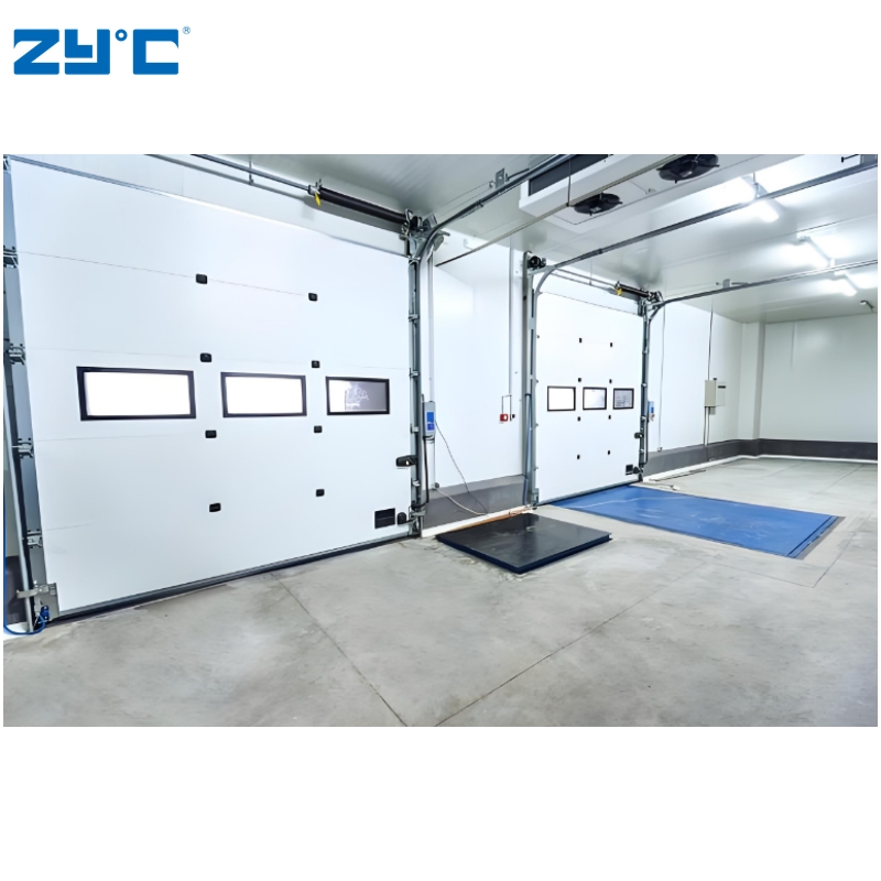 Portable Walk-in Freezer Cold Room Storage Container for Medicine