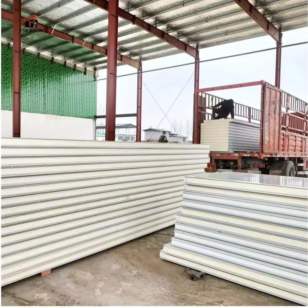 Soundproof Fire Resistant Eco-Friendly Cold Storage Sandwich Panel with 5+ Year Warranty-for Medical/Pharmaceutical Cold Rooms