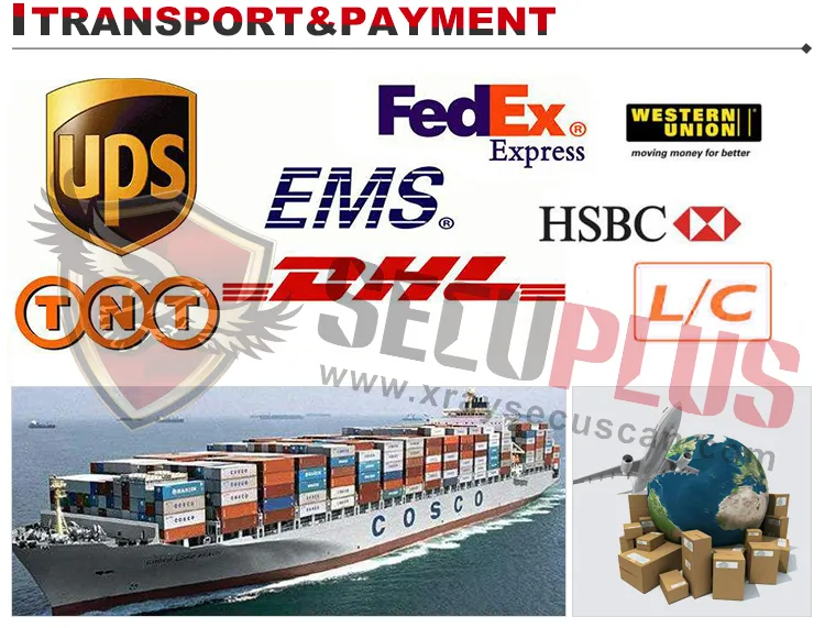 Metal Detector Display 6