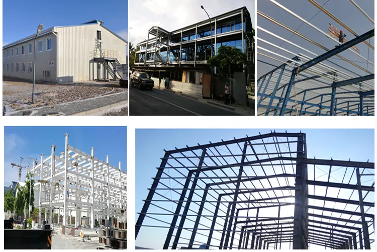 Poultry Farming Building Detail 3