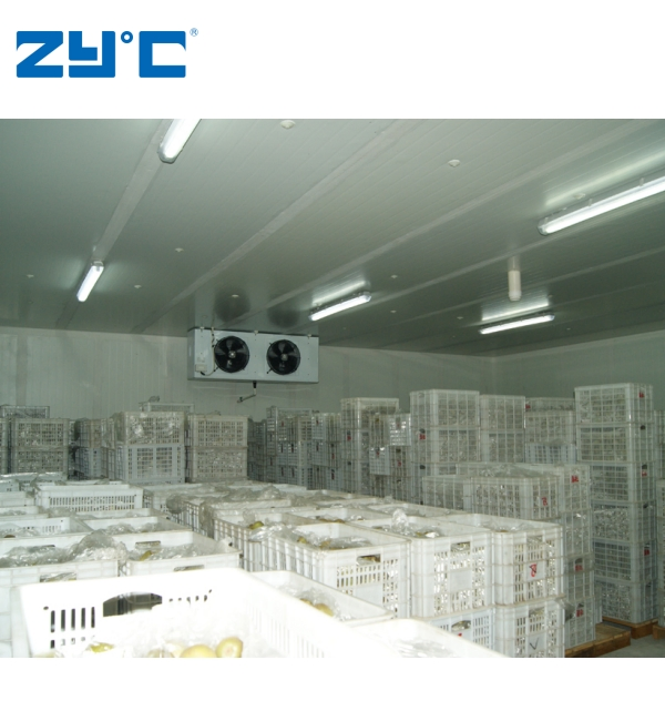 Freezing Chamber Freezer Cold Refrigeration Container 3t Cooling Room -20c~10c Degrees Cold Room Storage for Potato Carrot
