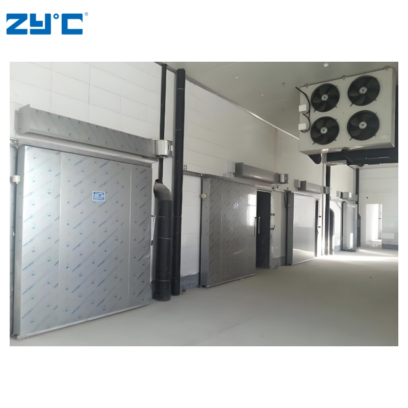 Customizable Modular Container Cold Storage Room Building Material Cold Room Freezer