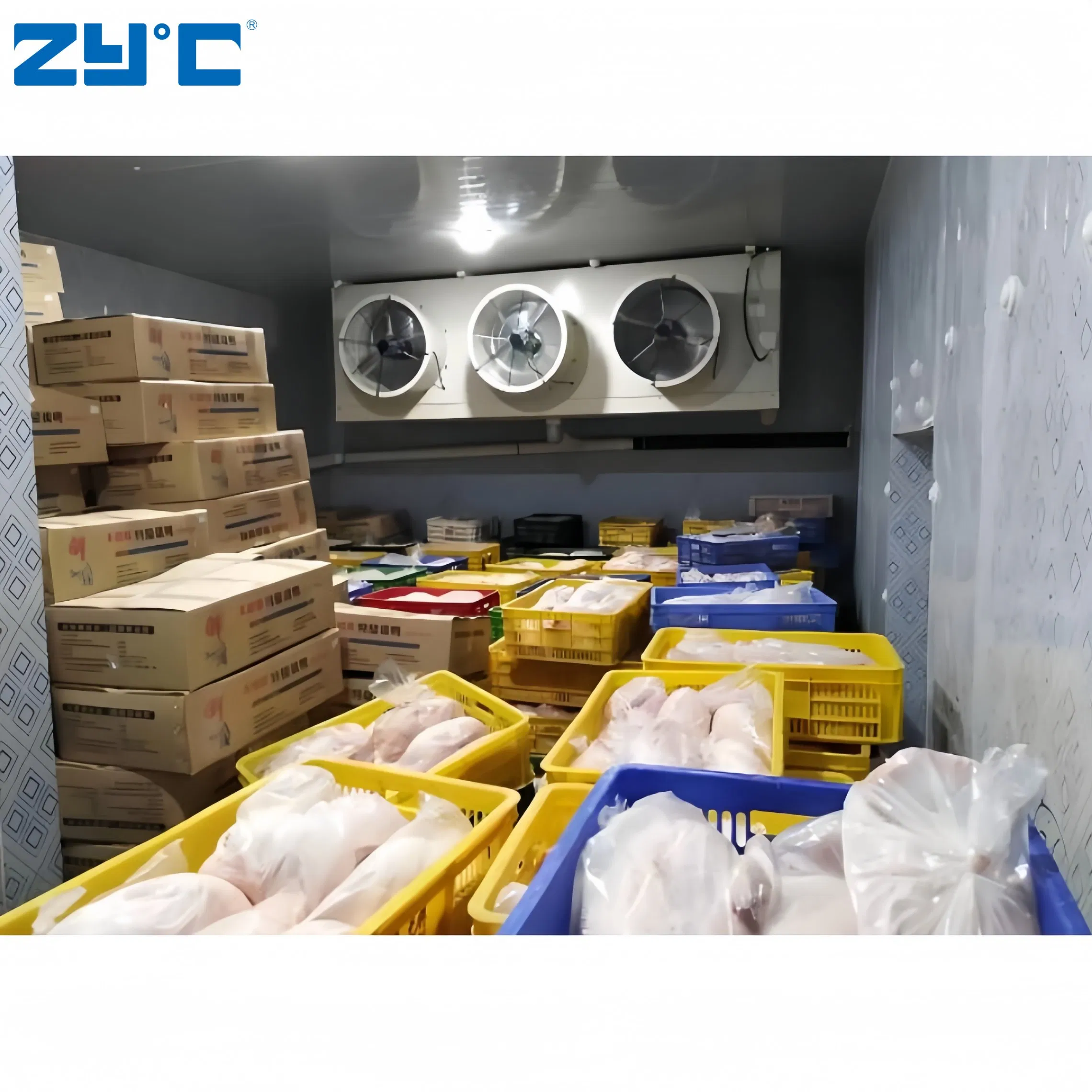 Factory Direct Supply of Fruit and Vegetable Fresh-Keeping Container Cold Storage Room Central Refrigeration System