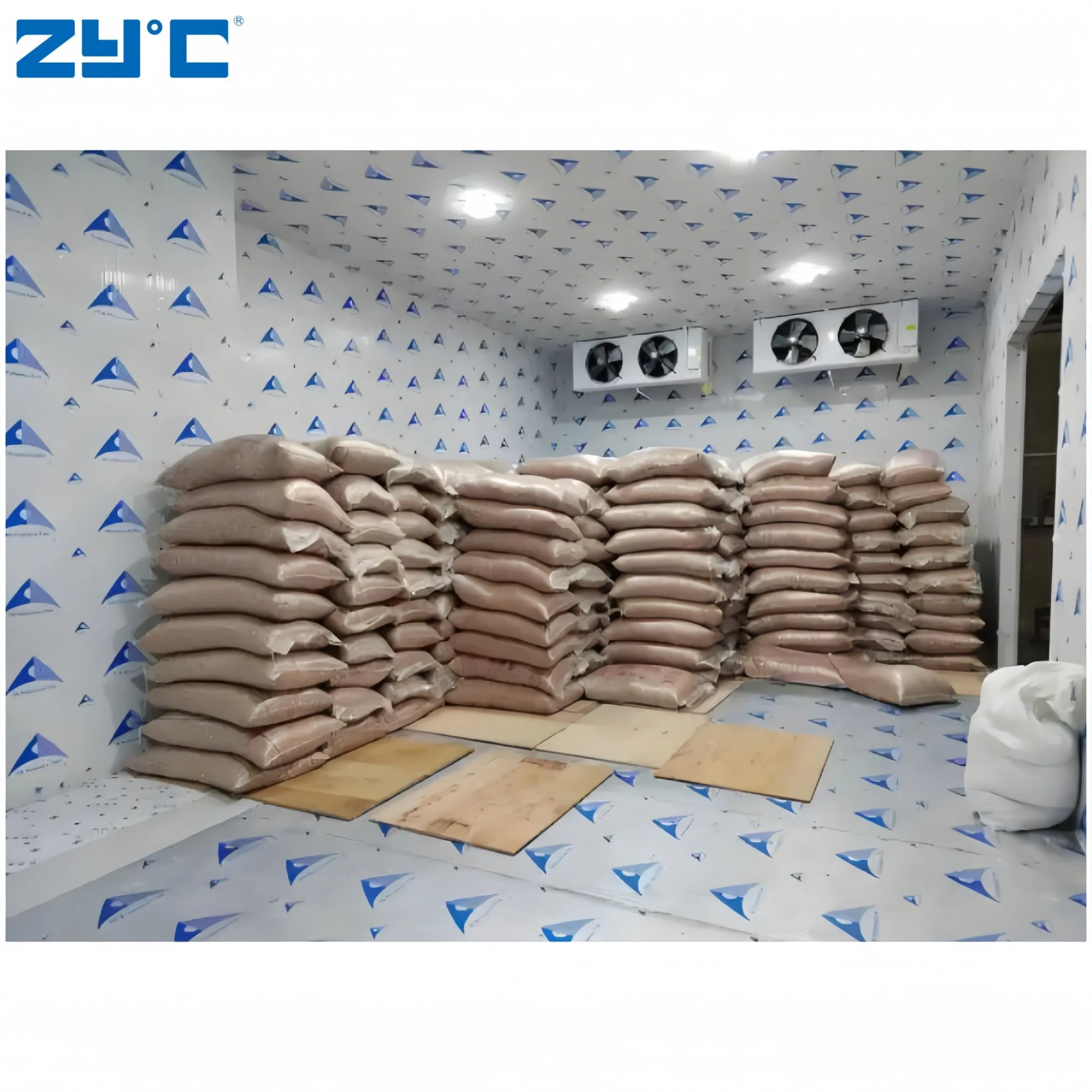 Walk in Freezer Powerful 380V Cold Storage Container for Fruits