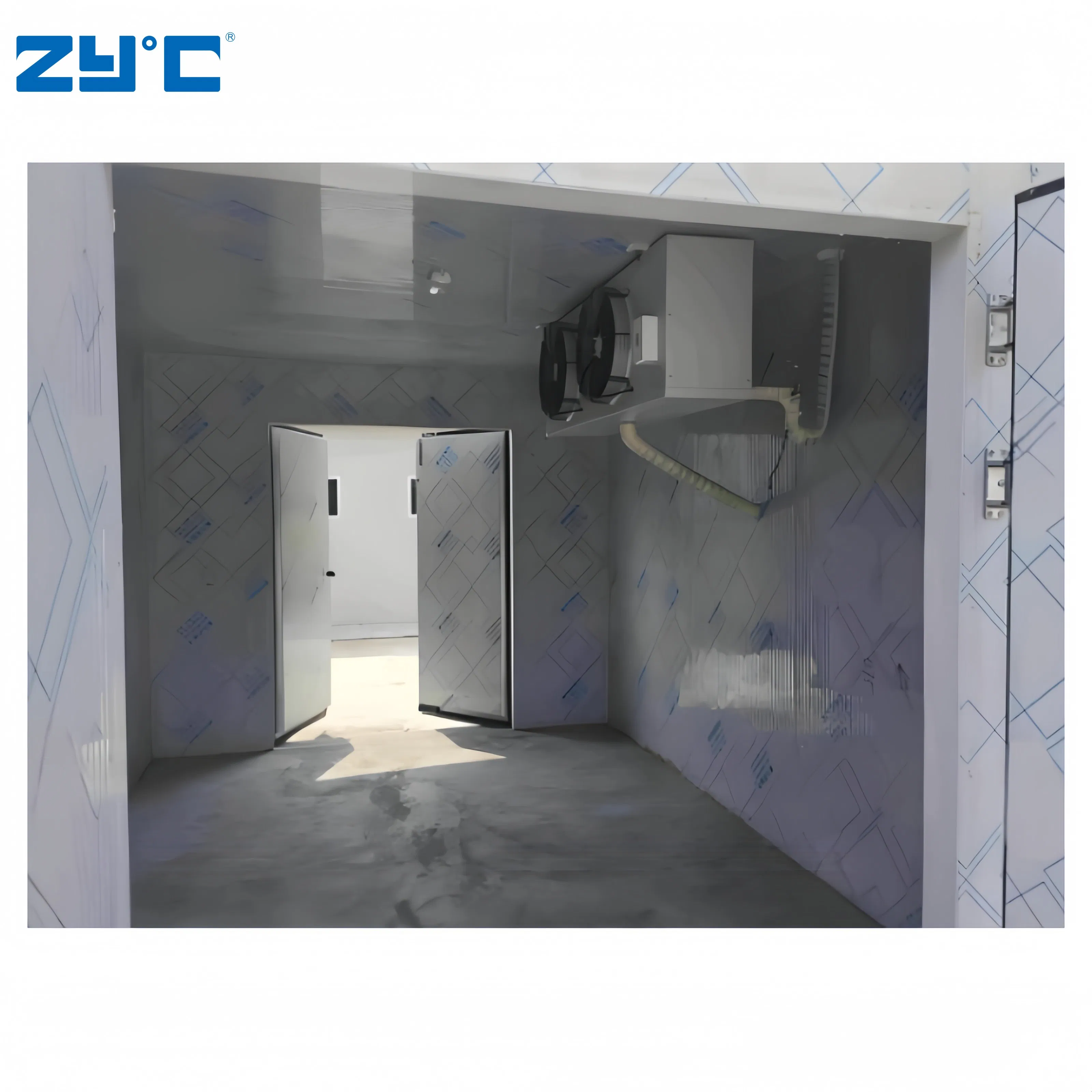 Industrial Blast Freezer Container Walk in Freezer Refrigeration Unit Low Temperature Logistics Cold Storage