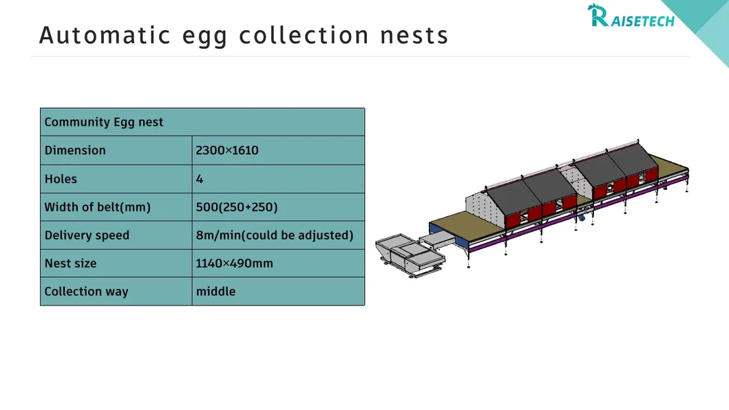 Egg Collection 1
