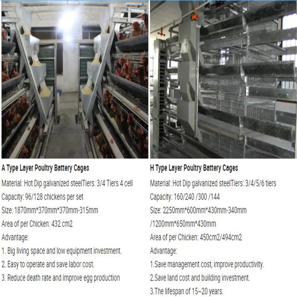 Heavy-Duty Steel Chicken Coop Featuring Innovative Machinery Solutions