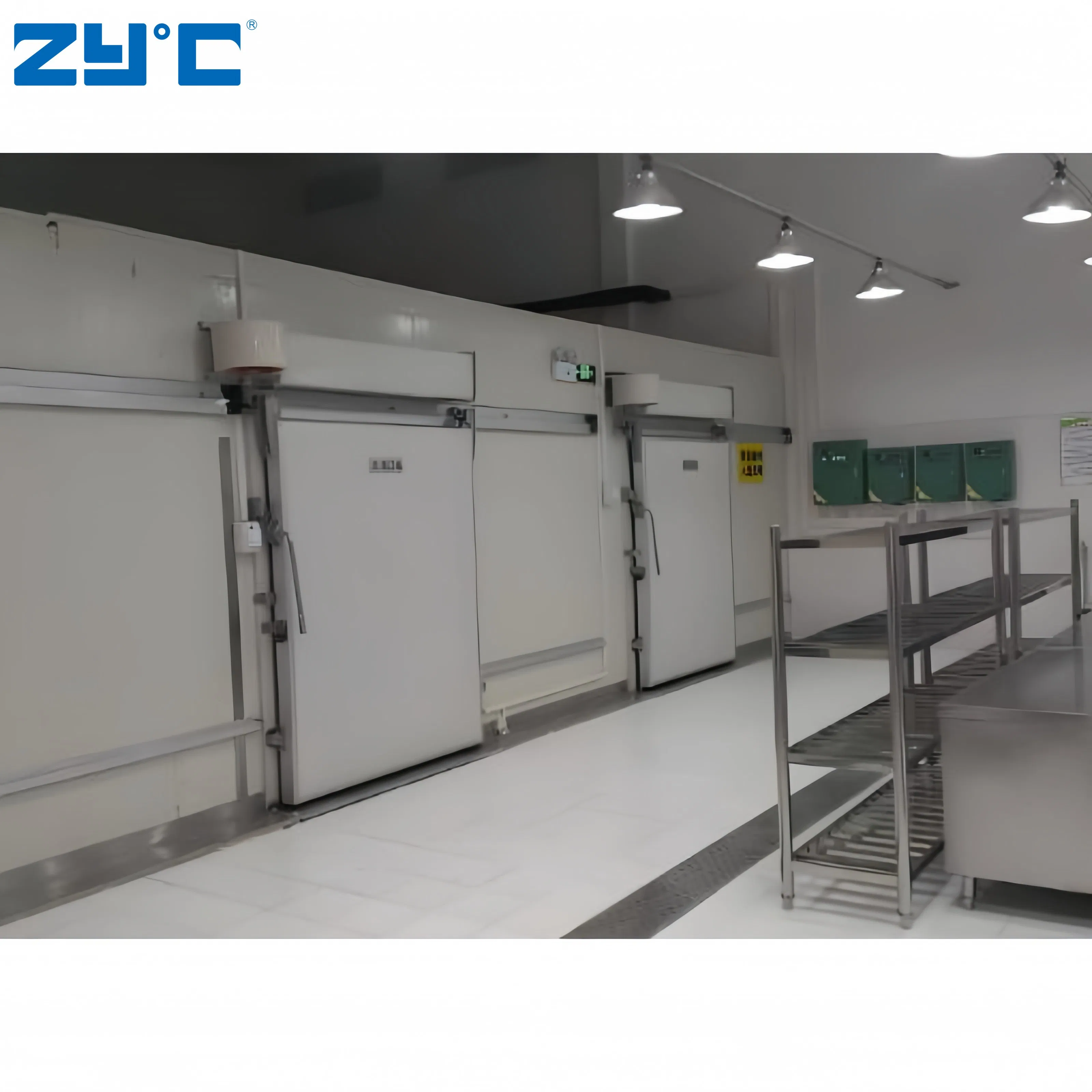 Frozen Lamb Meat Beef Omasum Importer Fujian Cool Room Cold Storage Refrigerating Chamber