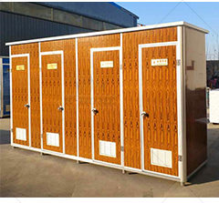 Flexible and Convenient Temporary Bathroom Solutions