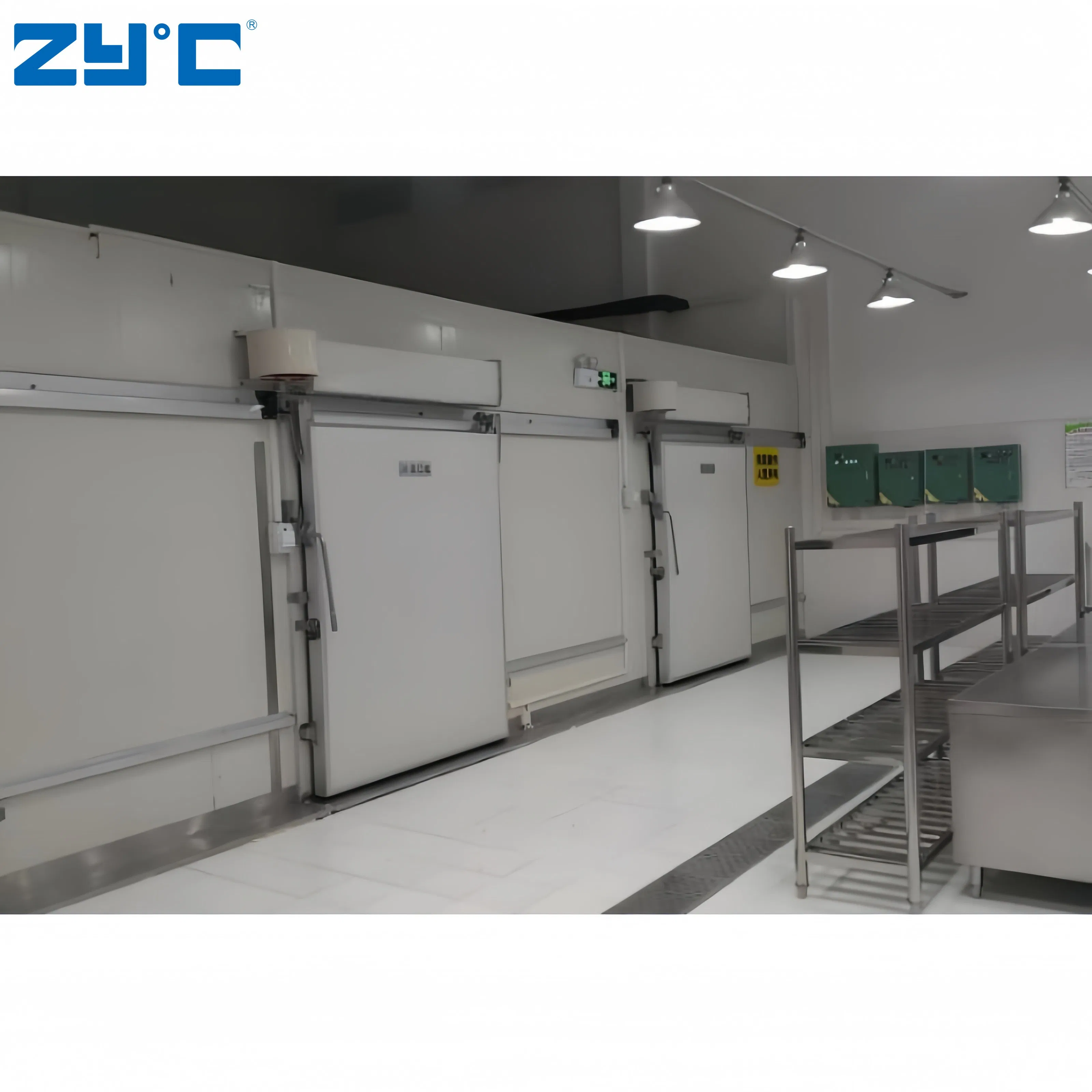 Cool Blast Freezer Equipment Solar Powered Cold Rooms Walk in Freezer Container for Vegetables and Fruits