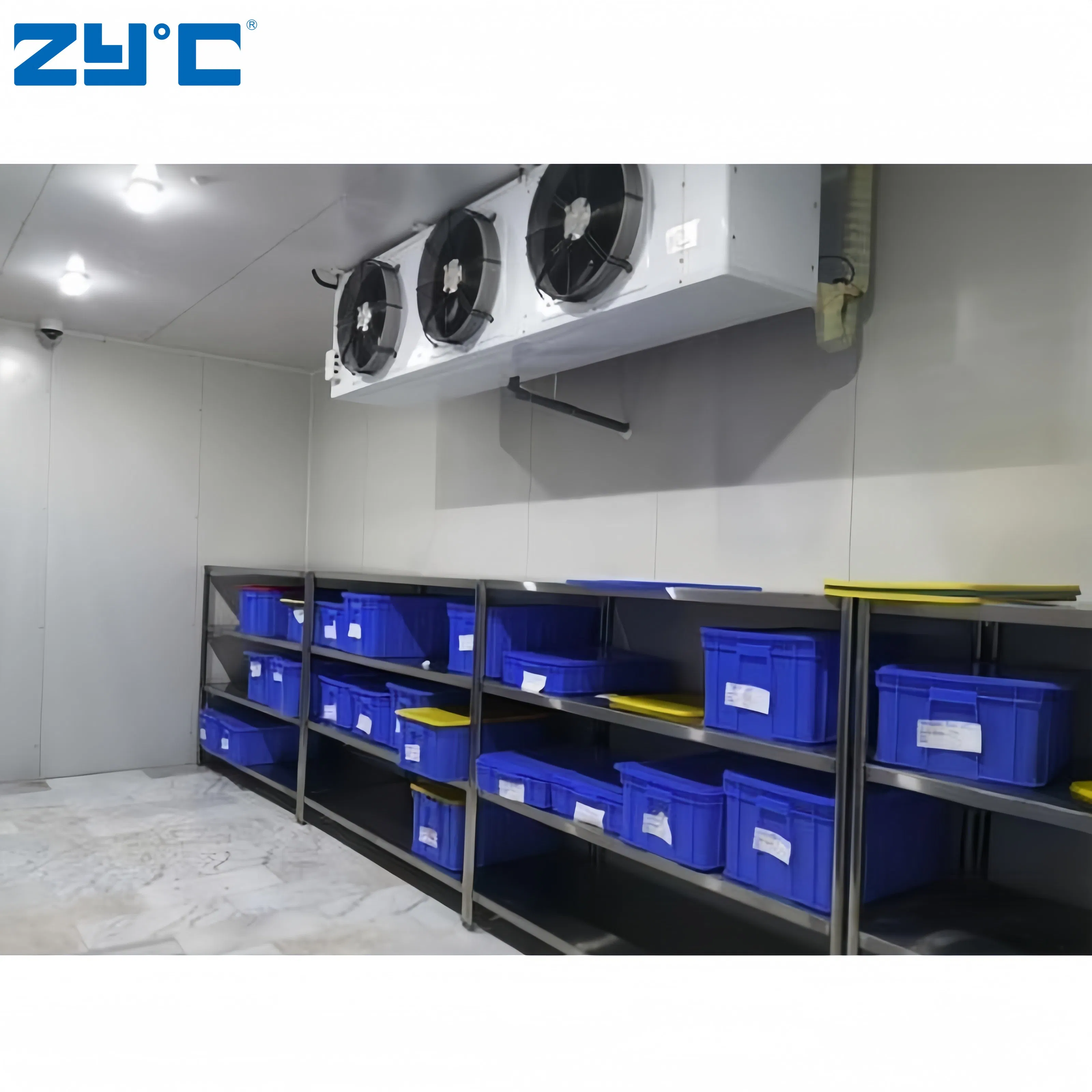 Portable Walk-in Freezer Cold Room Storage Container for Medicine