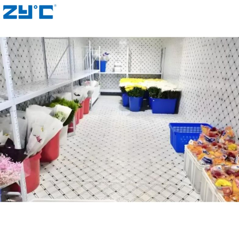 New Research Refrigerated PU Panels Container Coldroom Cold Room Storage 40FT Unit